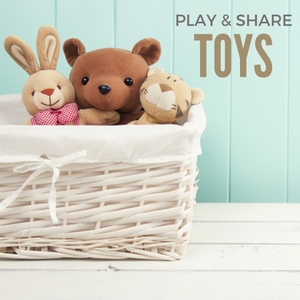 Play & Share Toys